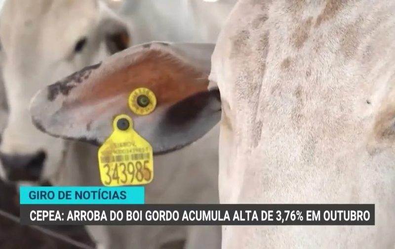 Agronegócio de SP alcança superávit de US$ 15 bi em 2026