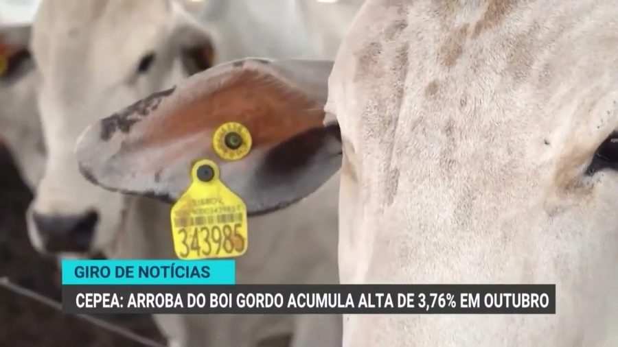 Agronegócio paulista registra superávit de 15 bilhões de dólares em 2026