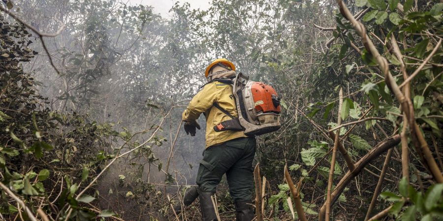 Amazonas enfrenta explosão de queimadas com 540 novos focos