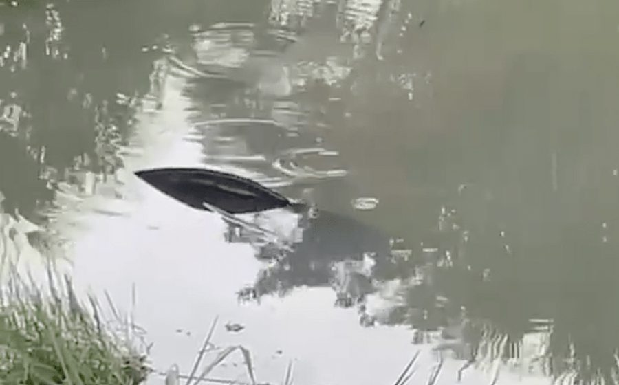 Carro onde estavam duas crianças sai da 163 em Lucas do Rio Verde após colisão com outro e cai em lago