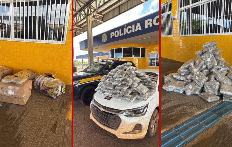 Casal é preso com mais de 50 kg de skunk em porta-malas de carro em MT