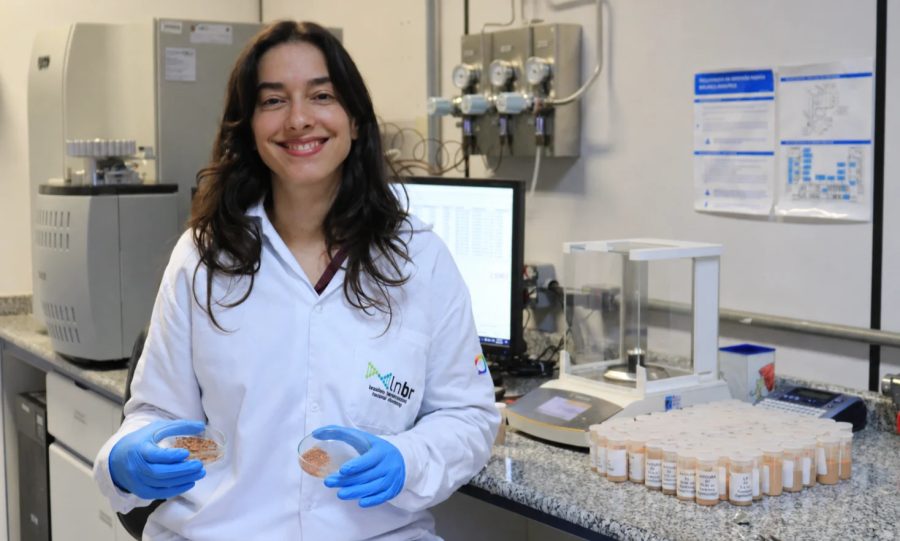 Carbono no Cerrado: estudo revela impacto do solo e do manejo