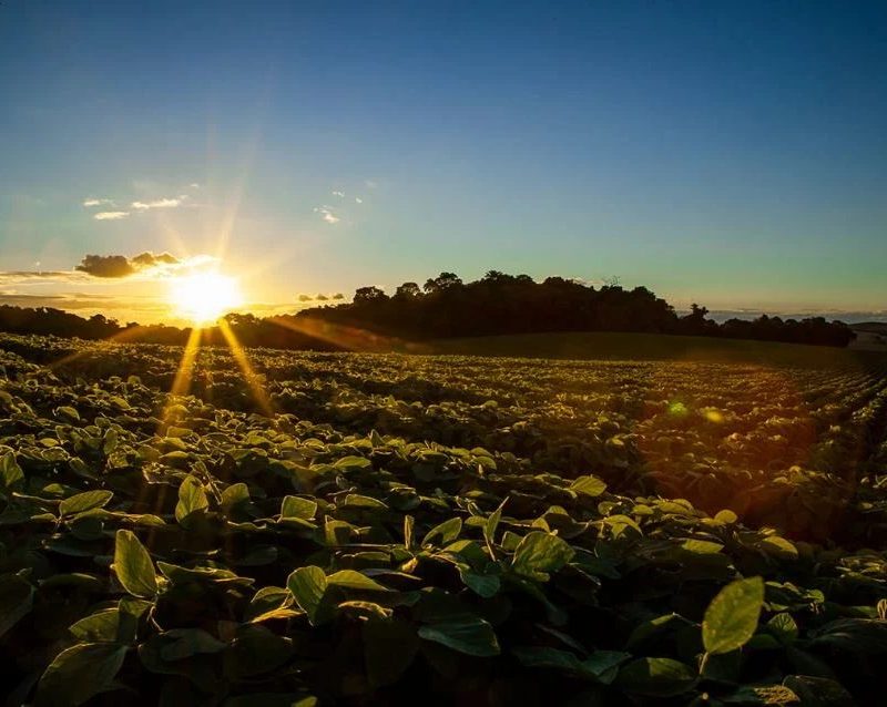 CNA entrega oito prioridades do agro para a COP 31