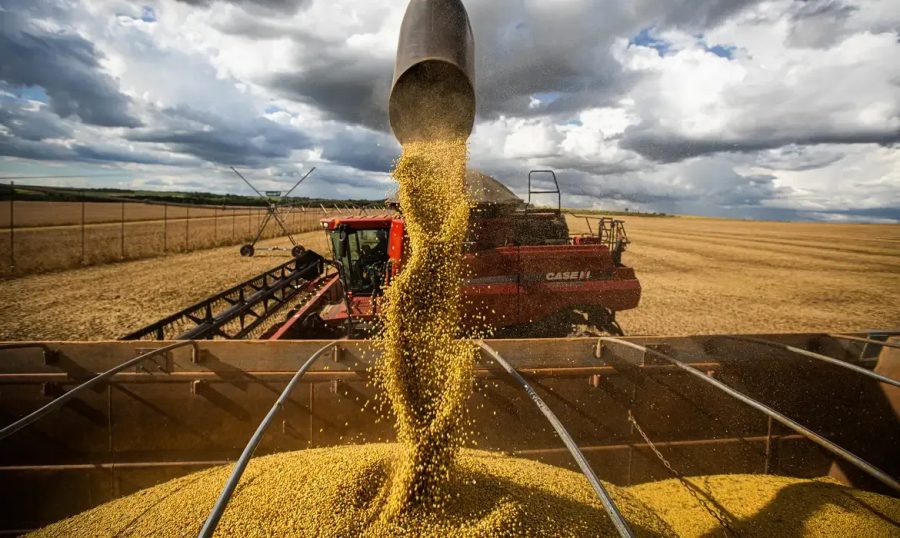 Com taxa de 6,7%, economia de Mato Grosso assume o 2º lugar em ritmo de expansão no país