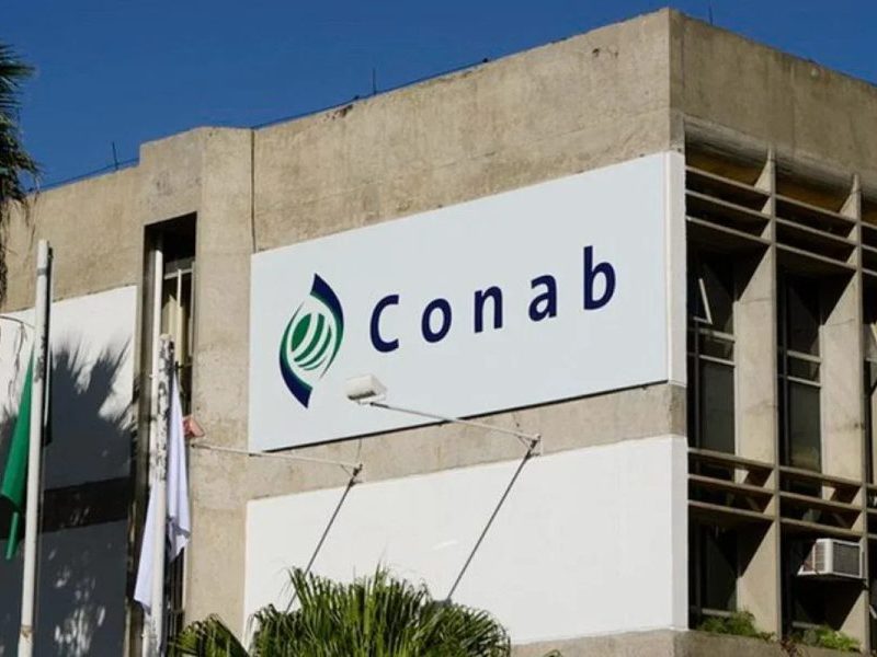 Conab sofre ataques hackers e alerta para possíveis falhas em seus sistemas
