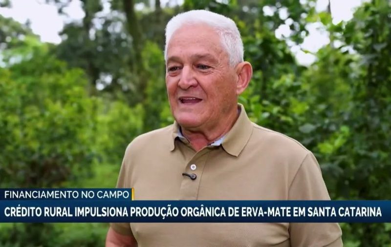 Crédito rural impulsiona produção orgânica de erva-mate em SC