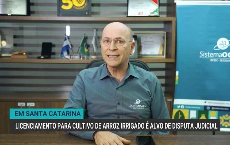 Disputa judicial sobre licenciamento ambiental do arroz irrigado em SC