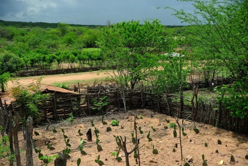 El Niño 2026: agro do Nordeste deve focar em água e solo