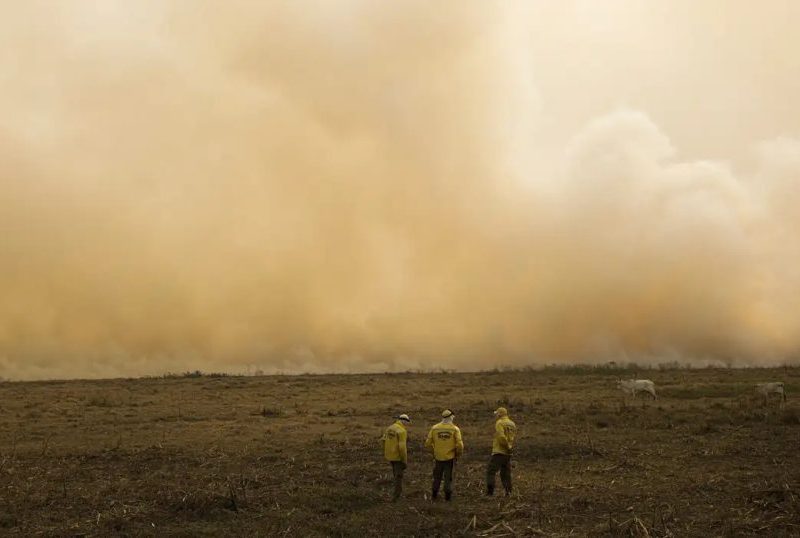 El Niño 2026/2027: veja como proteger sua lavoura no Sudeste