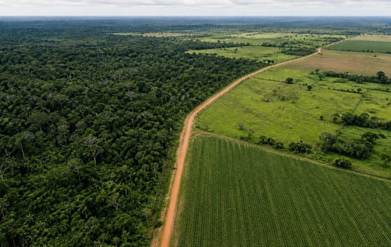 Emissões líquidas do Brasil caem ao menor nível desde 2012