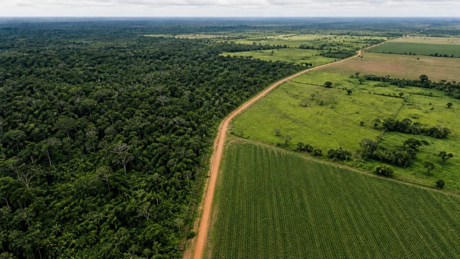 Emissões líquidas do Brasil caem ao menor nível desde 2012