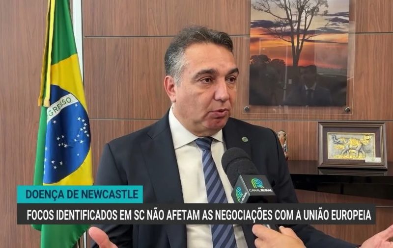 Newcastle em SC não barra acordos com a UE, diz governo