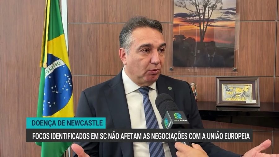 Focos de doença de Newcastle em Santa Catarina não afetam negociações com a UE