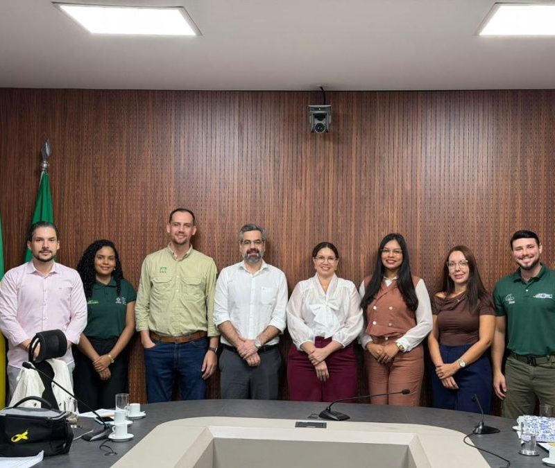 Fundo aprova R$ 1,97 milhão para áreas experimentais com espécies florestais nativas em Sinop, Lucas do Rio Verde e Alta Floresta