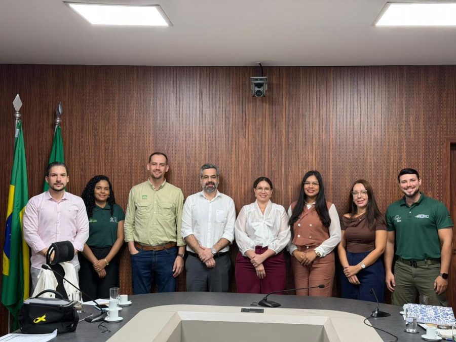 Fundo aprova R$ 1,97 milhão para áreas experimentais com espécies florestais nativas em Sinop, Lucas do Rio Verde e Alta Floresta