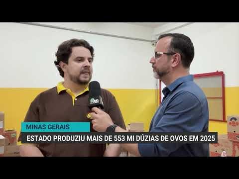 Minas Gerais produz 556 milhões de dúzias de ovos
