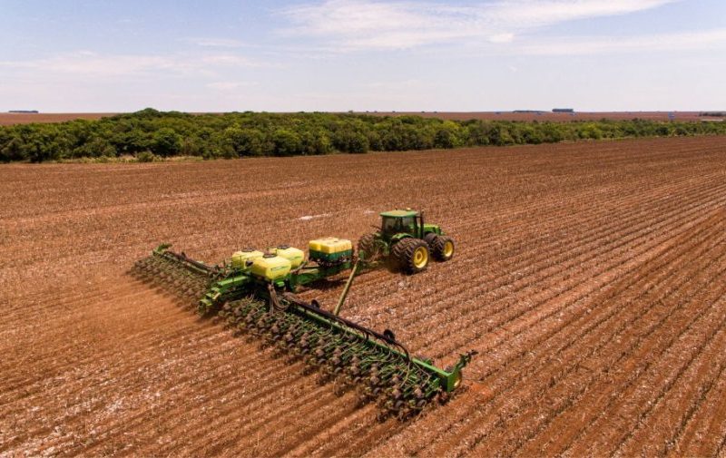 Plantio de soja em Mato Grosso atinge 75,81% da área prevista