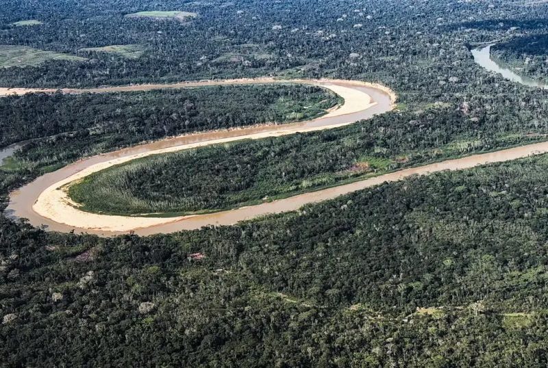Países Baixos anunciam US$ 500 milhões para fundo florestal