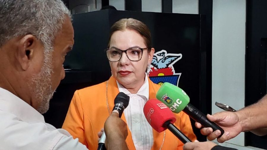 Paula Calil rebate fala de deputada do PL sobre feminicídio: “a lei existe sim”