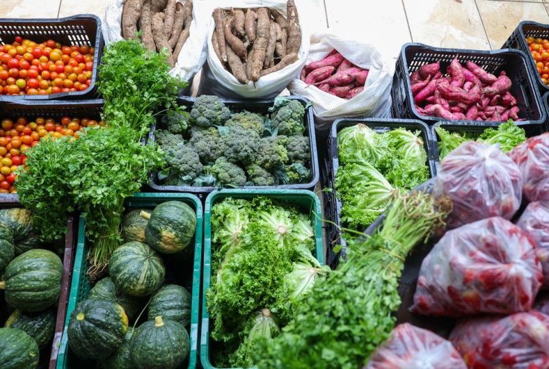 Segurança alimentar exige esforço coletivo e articulação