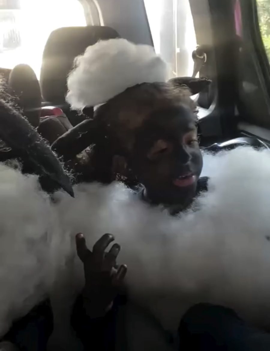 Três Marias viralizam com fantasia de Shaun, o Carneiro em MT